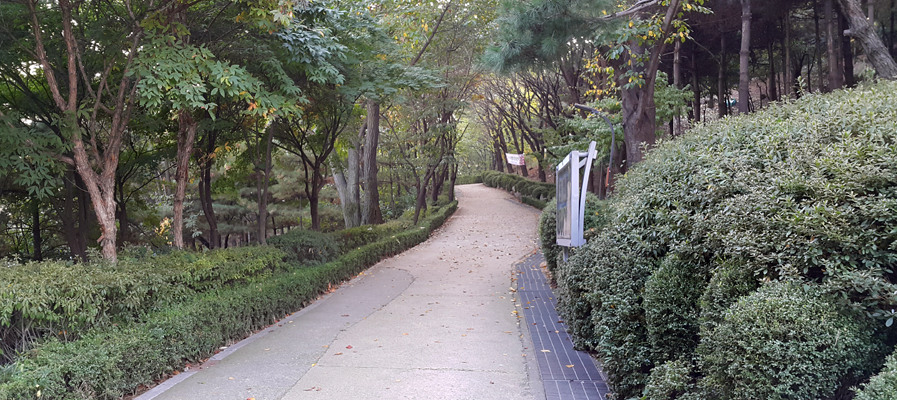 수진공원 내에 있는 산책로 사진